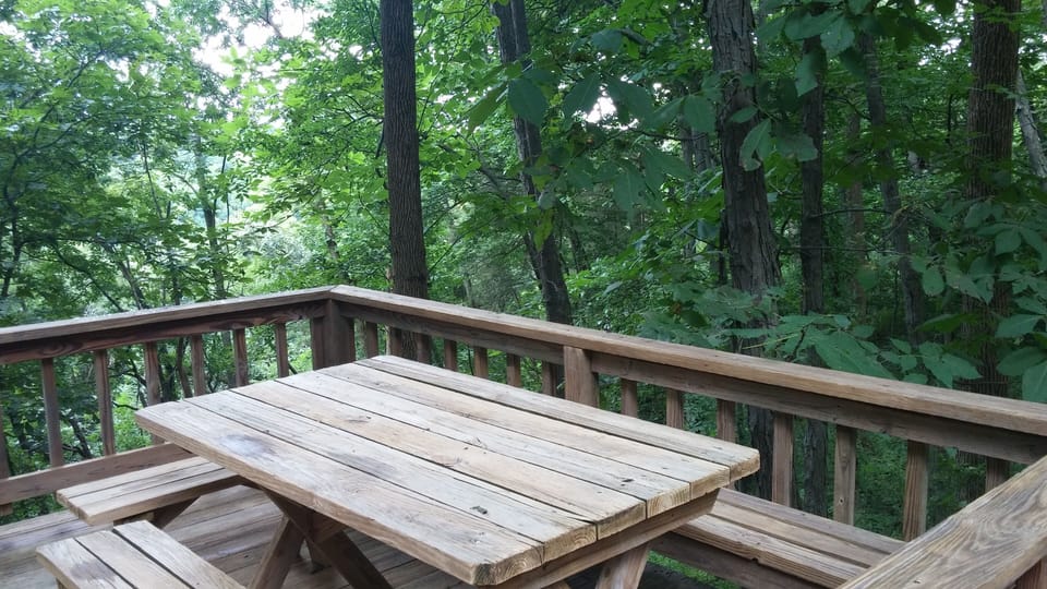 Have lunch and take in the majestic surroundings of Talisman Treehouse.
