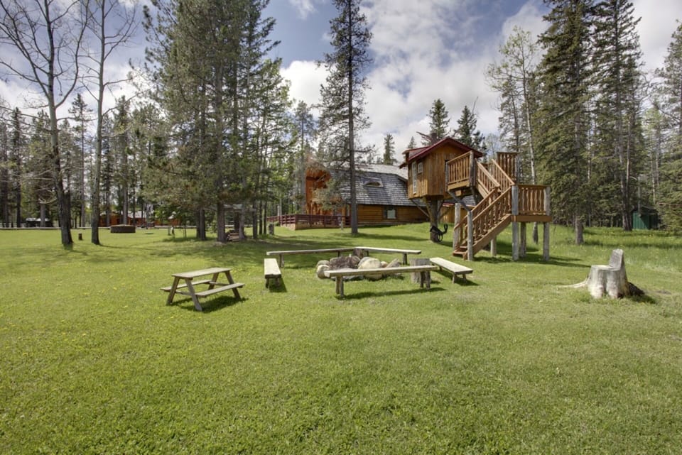 Tree House, great for the Children! and the Firepit