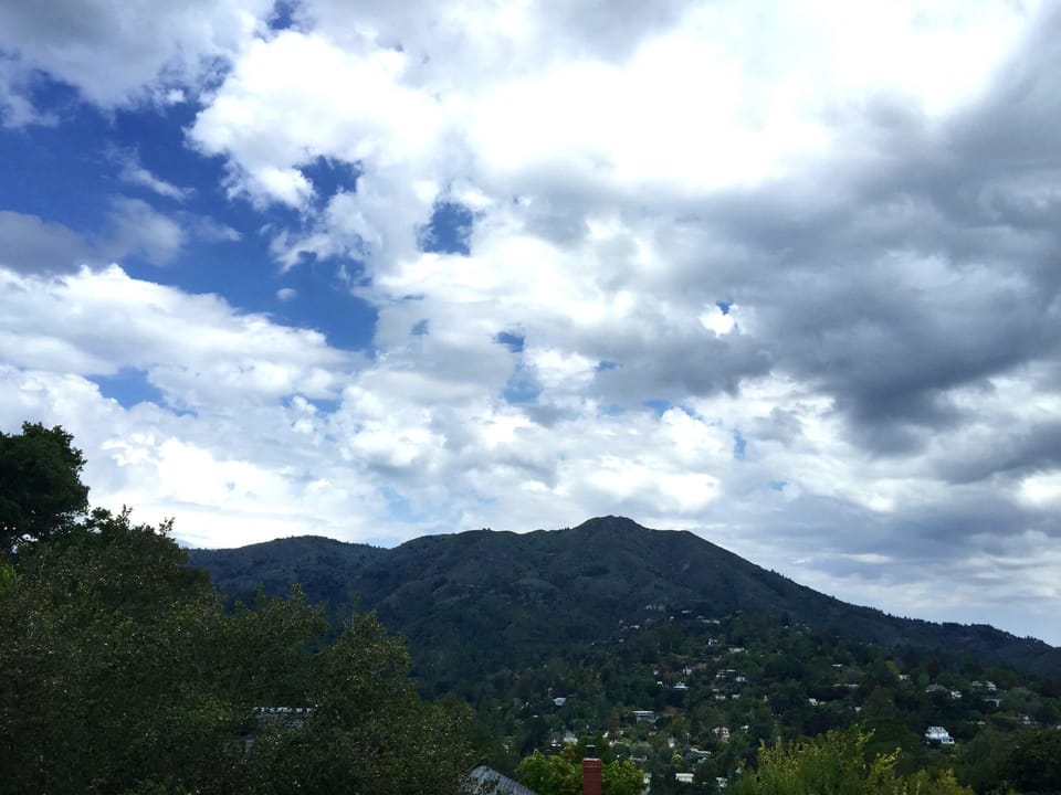 view from living area