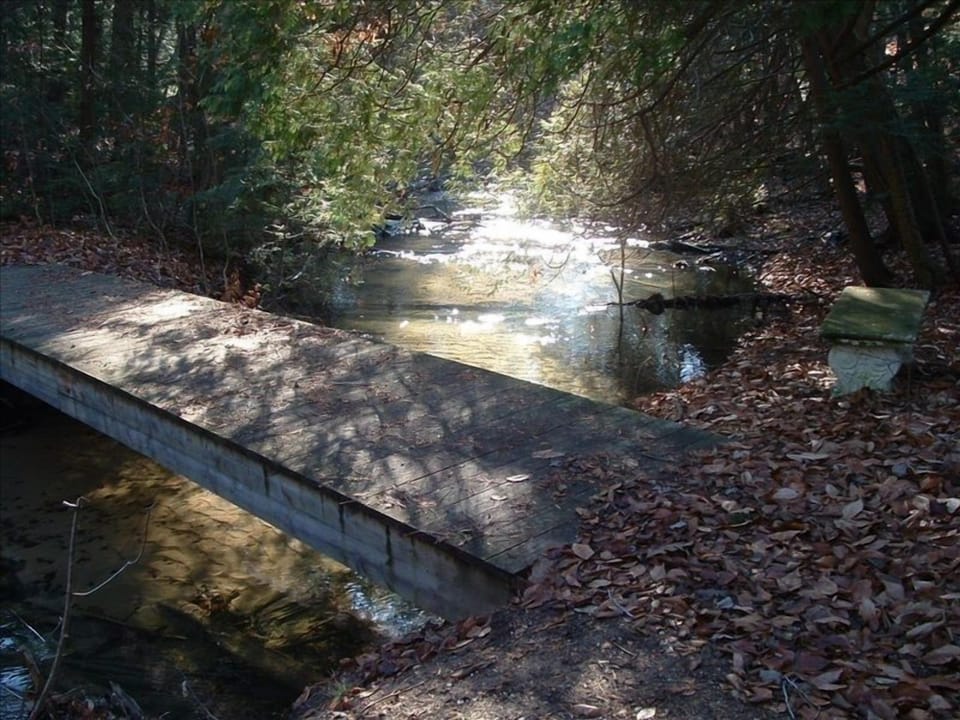 Foot bridge over creek