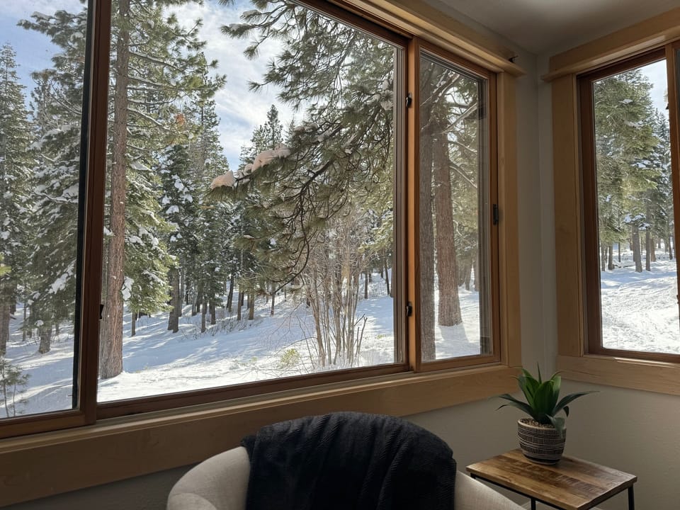 View is the trees on the ski slope