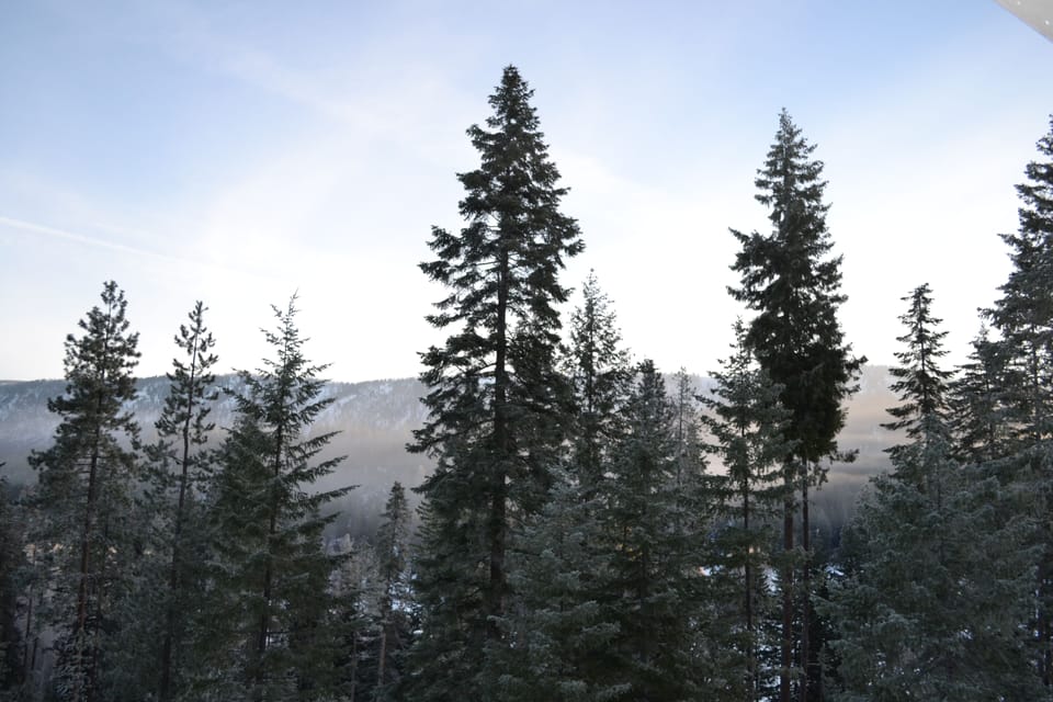  Log Cabin Mountain Views, secluded on 5 acres, Leavenworth 18 m, Stevens 31 m Cabin in Washington