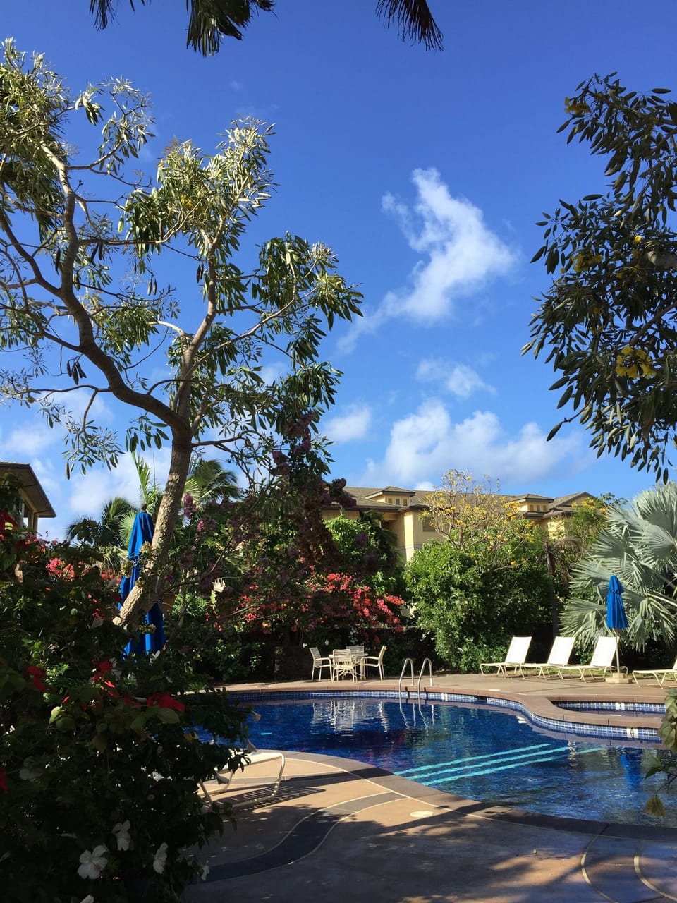 Blue Tile Pool 