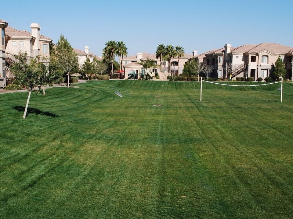 The complex has several large grassy areas