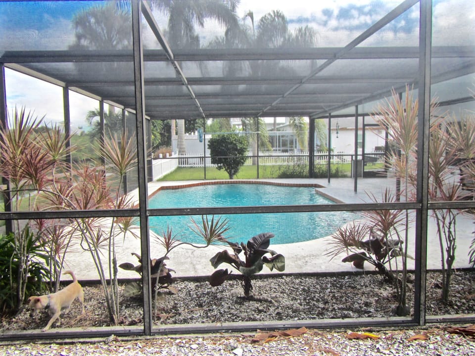 pool area