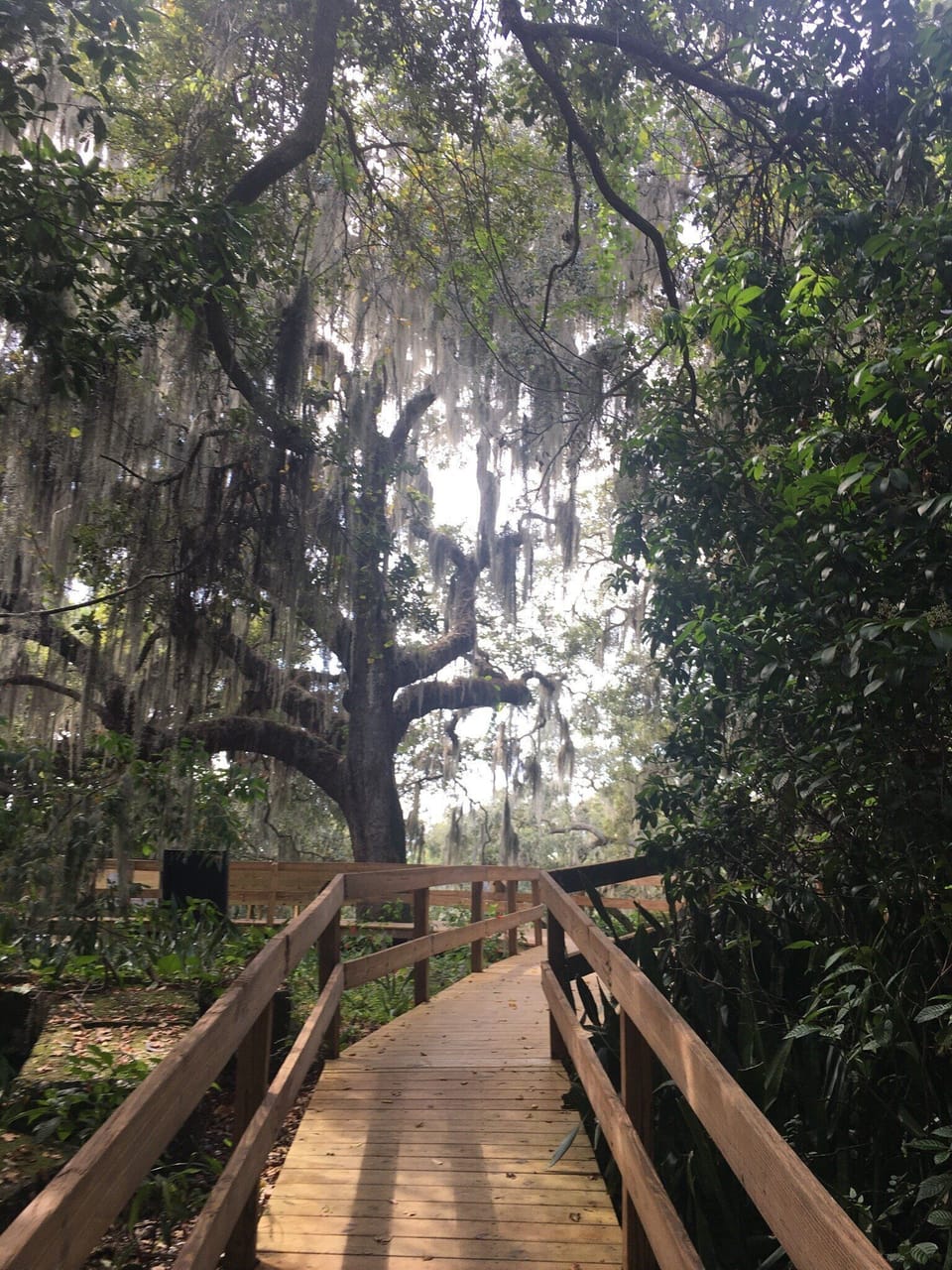 Emerson Point Preserve just a short  bike ride away.  One of the many boardwalks
