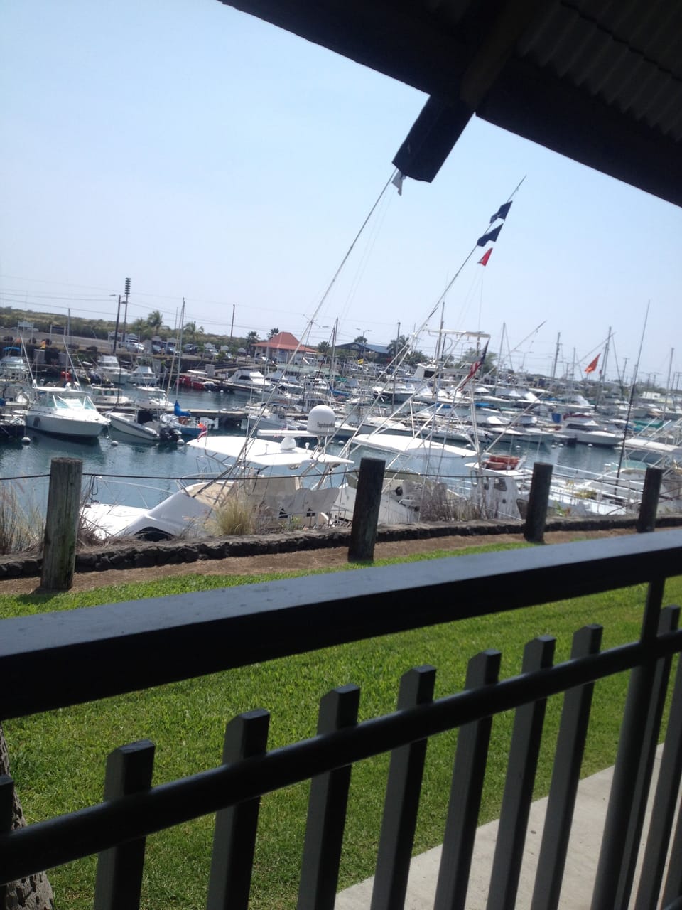 Honokohau Harbor, frosty schooners and freshest catch sandwich