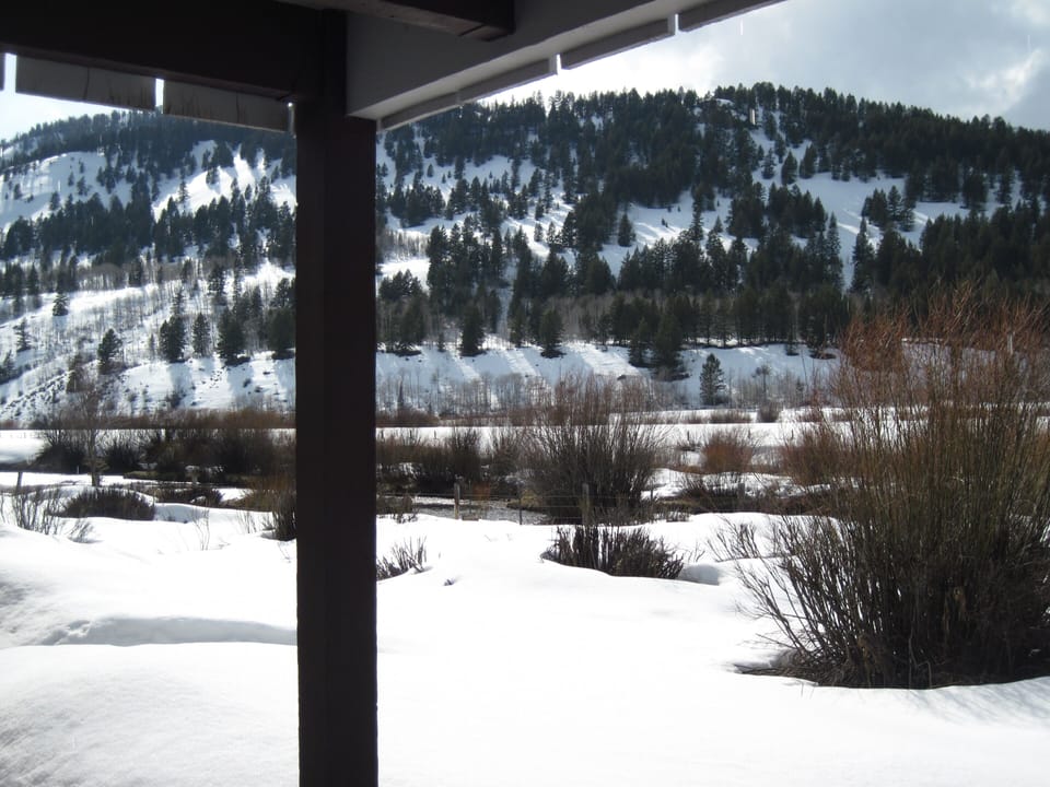 View from private deck...Fish Creek flowing through ranch behind condo.