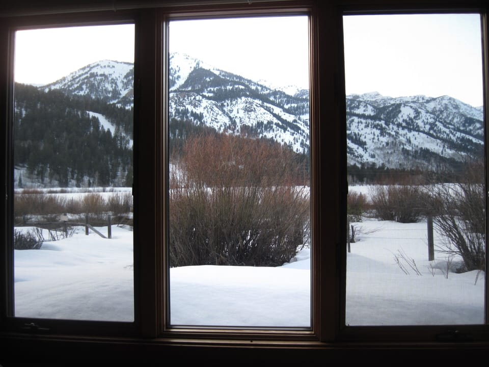 Winter view from reading nook