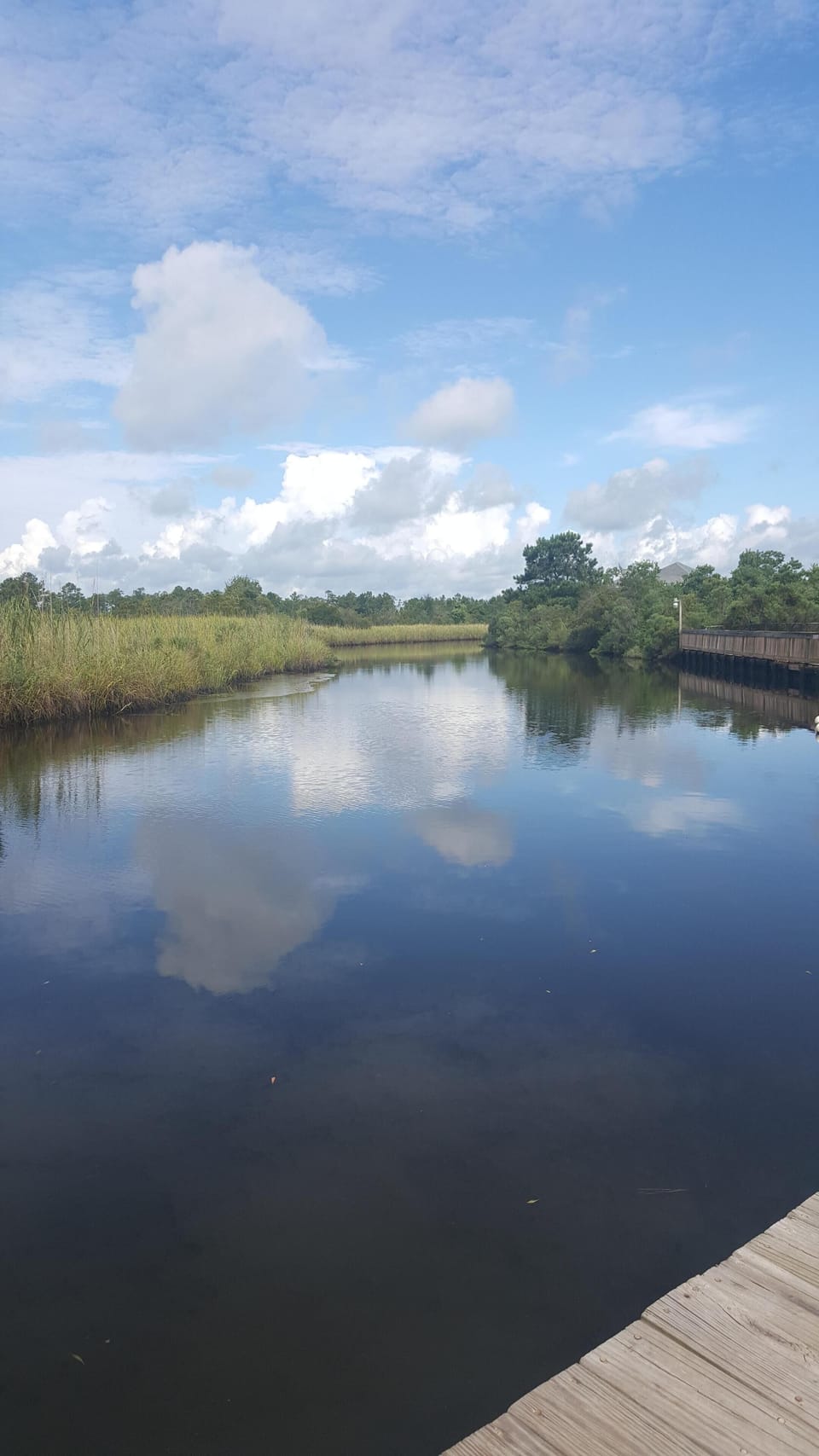Another great view of the bayou from the dock