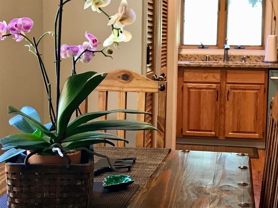 Reliable high-speed internet, and a comfortable dining table suitable for laptop work.