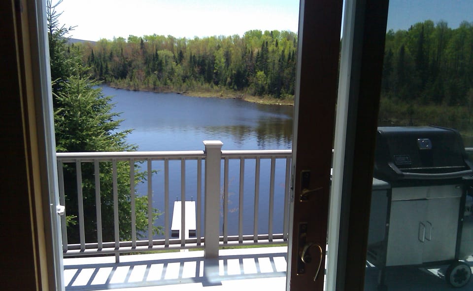 View from dining room