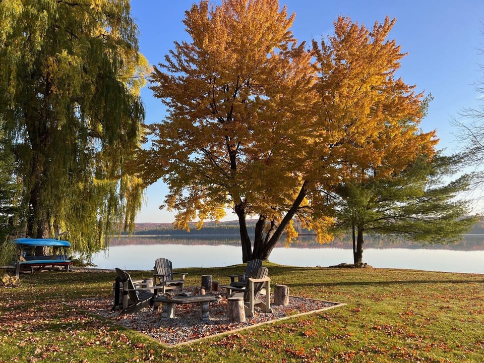 Firepit photo taken in fall colors- Firewood provided 