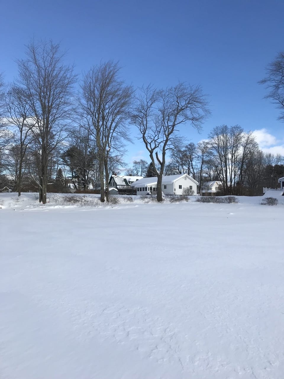 From the pond! Enjoy the outdoors!