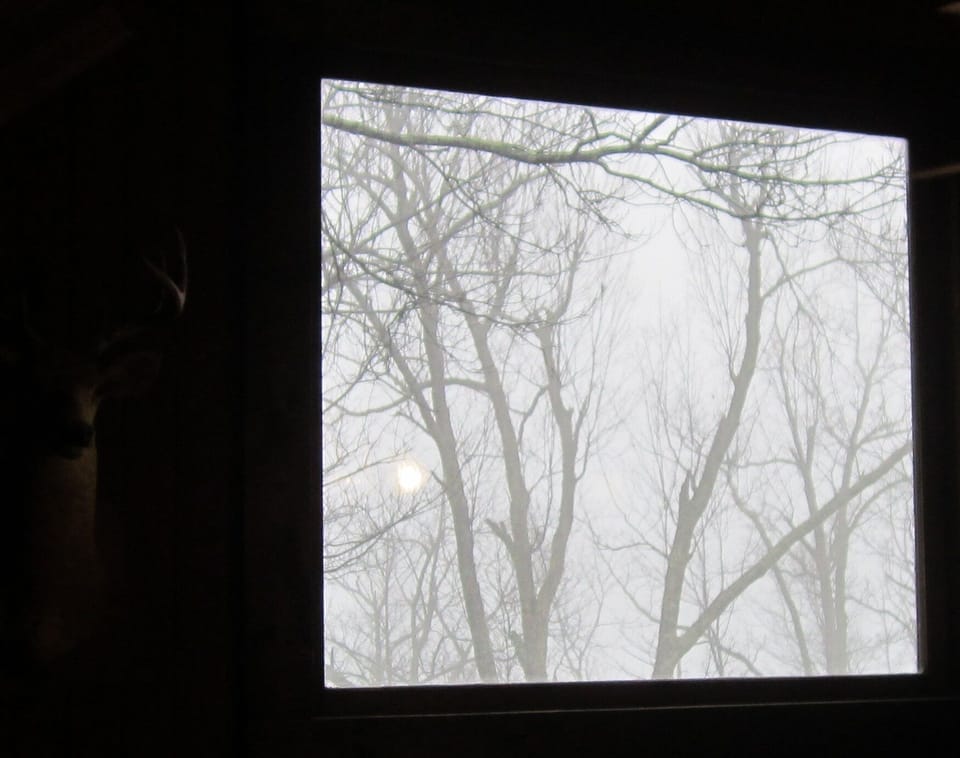 When bumming it in the cabin on a lazy day, it will be you, netflix, the deer and that awesome view.......