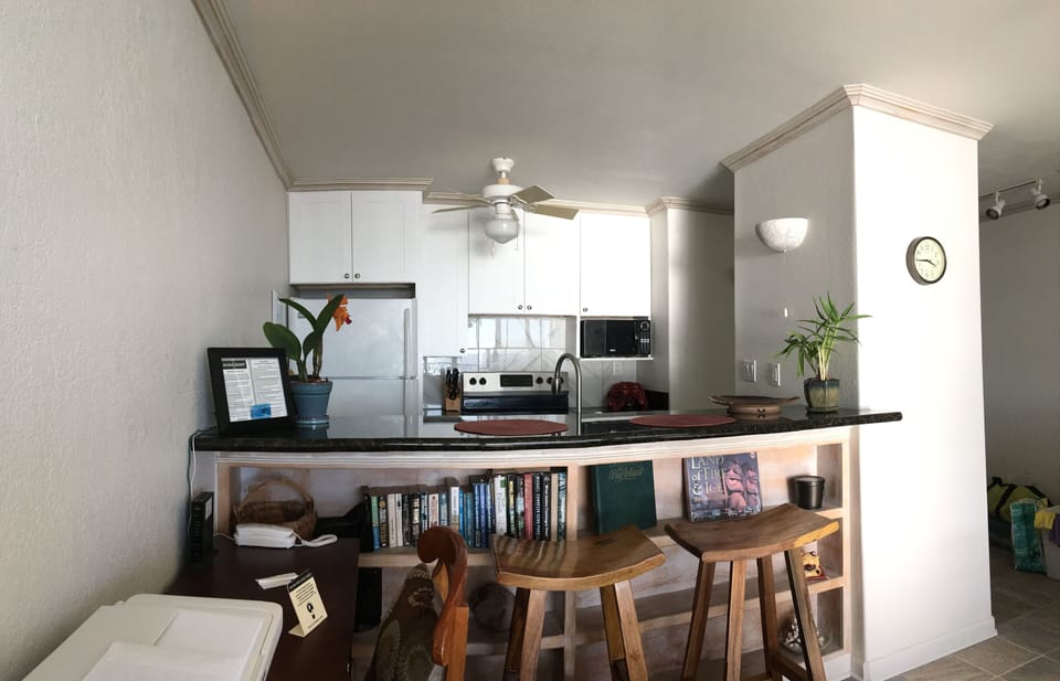 Kitchen from Living Room
