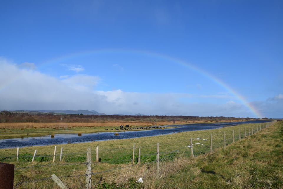 The Fen - Birdwatch Reserve
