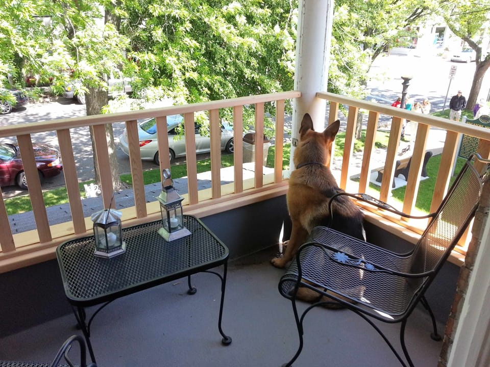 Porch off  twin bedroom with dog watching people