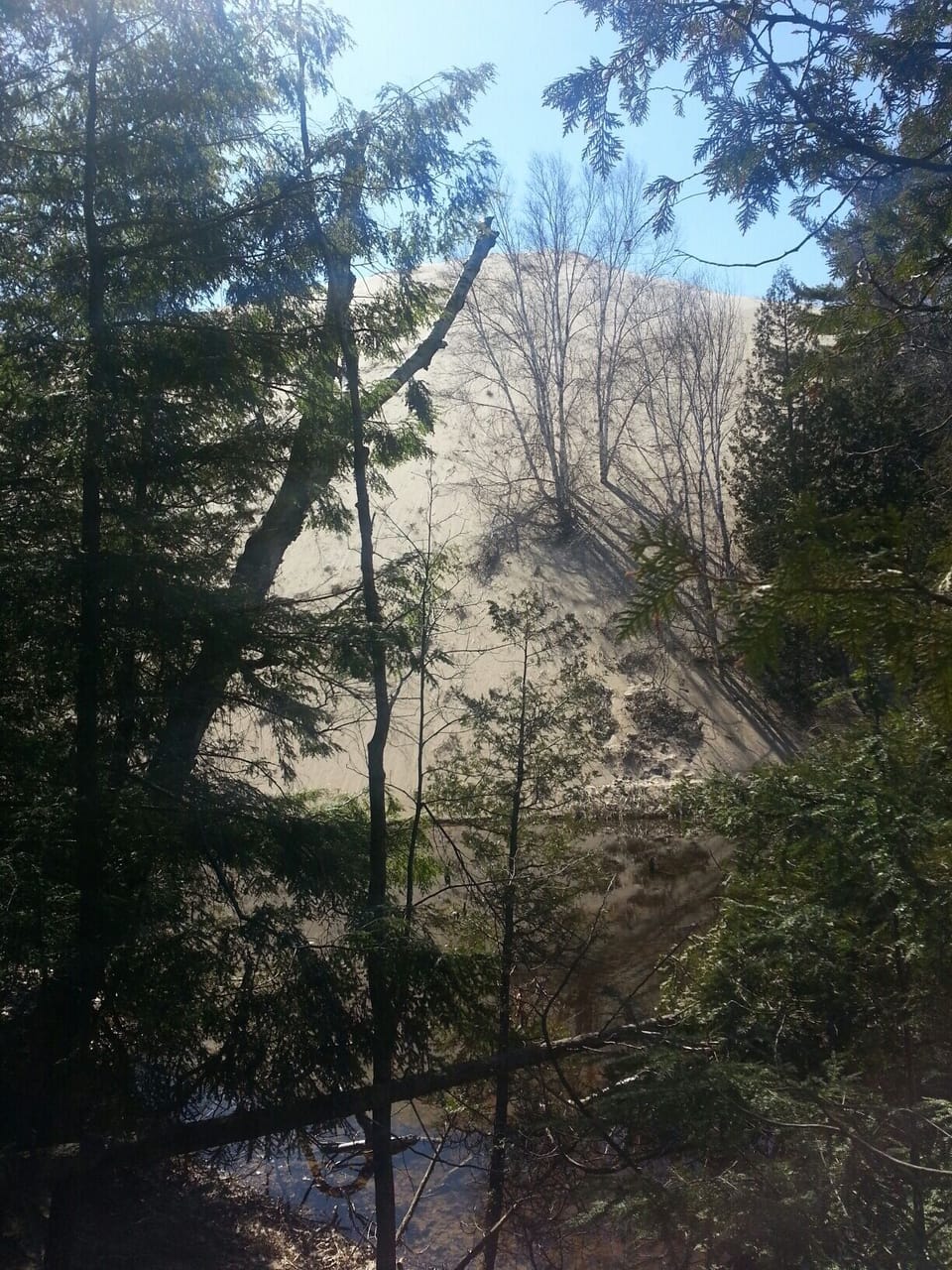 Have you ever run down a steep hill of pure sand? this one is across the road. 