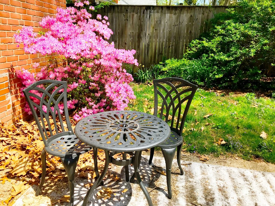 Patio out back