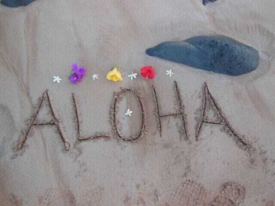 A photo from one of our guests.