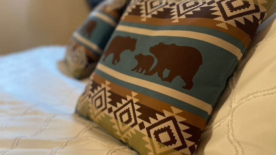 Alaska themed throw pillows in Bedroom.