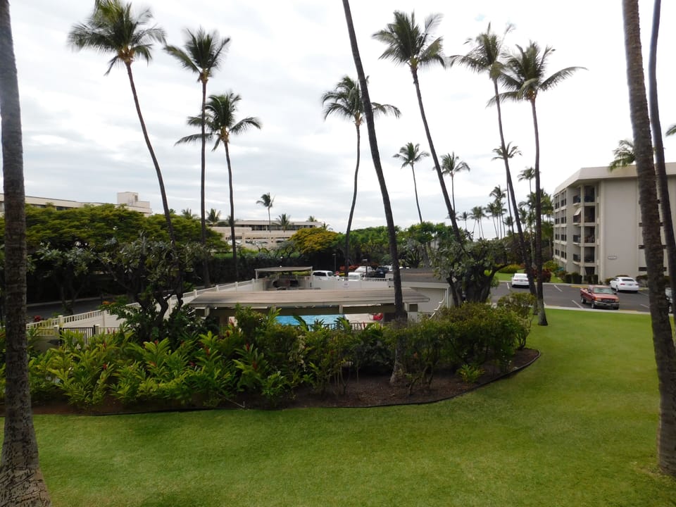 Overlooking one of the two pools on-site - the view from the lanai.