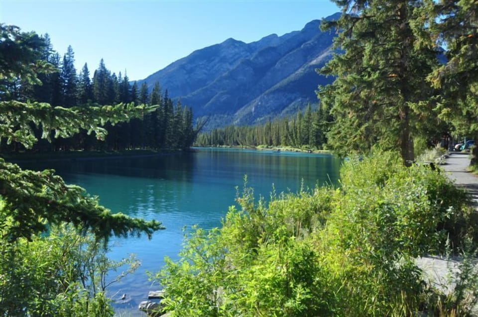 view of the Bow River