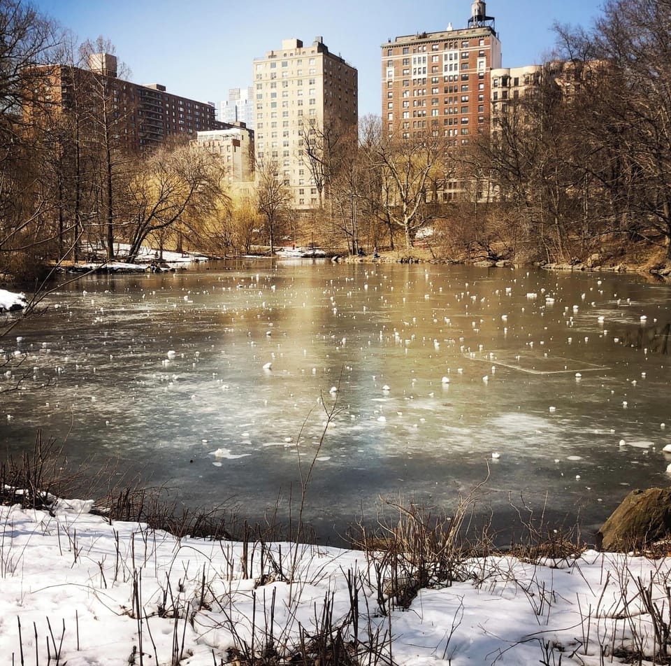 Winter view of frozen pond in northwest area of Central Park