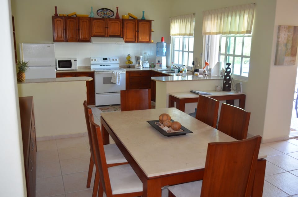 Dining/Kitchen 
