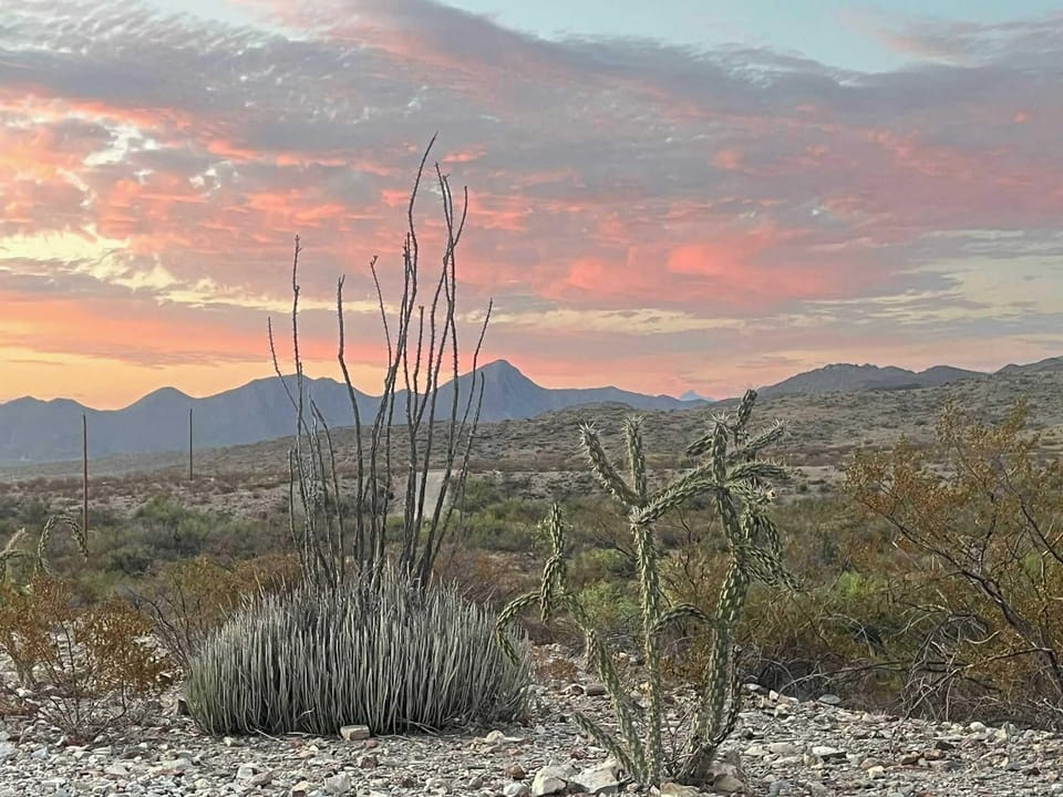 Sunset Rattlesnake Ridge