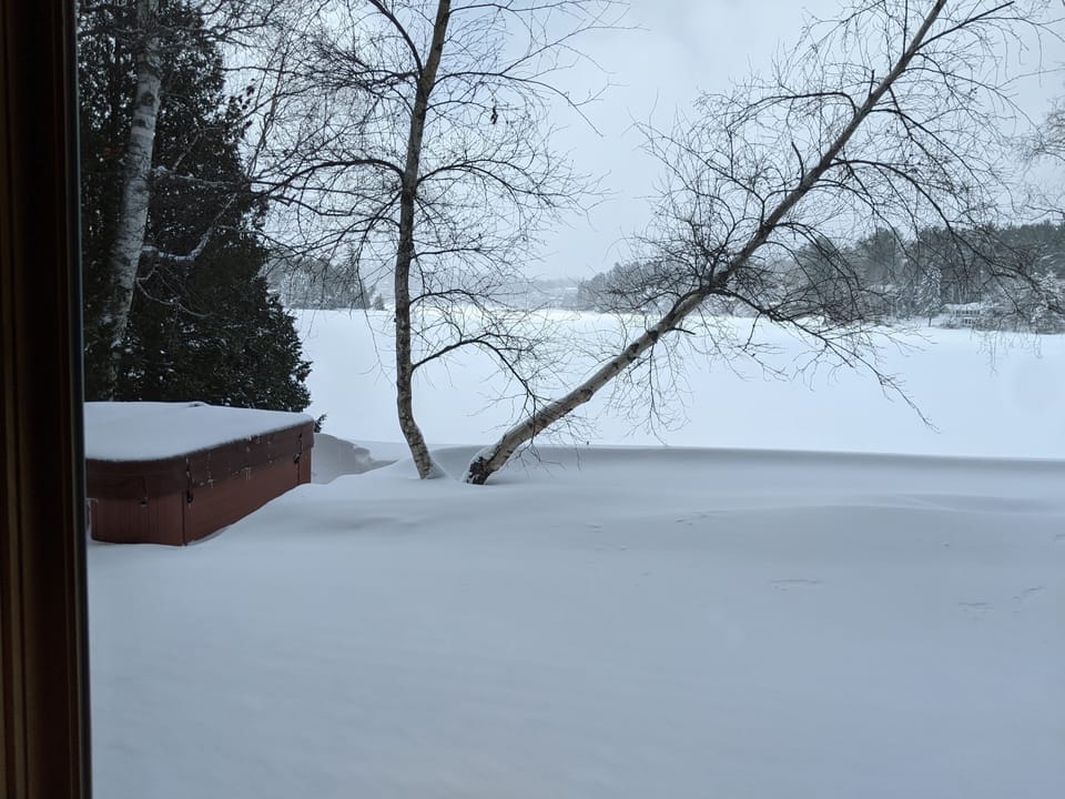 View from property