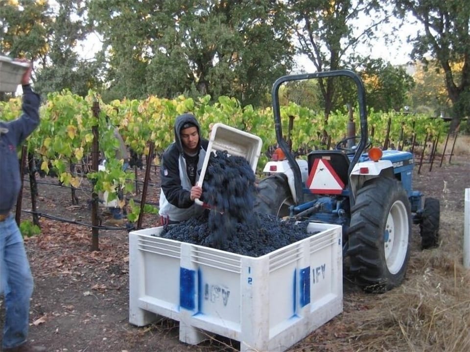 harvest!