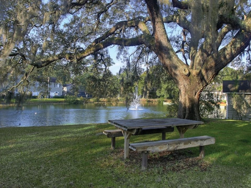 Picnic tables, a rope swing, and grills located around the stocked pond