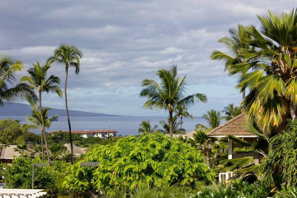 View from lanai off master bedroom