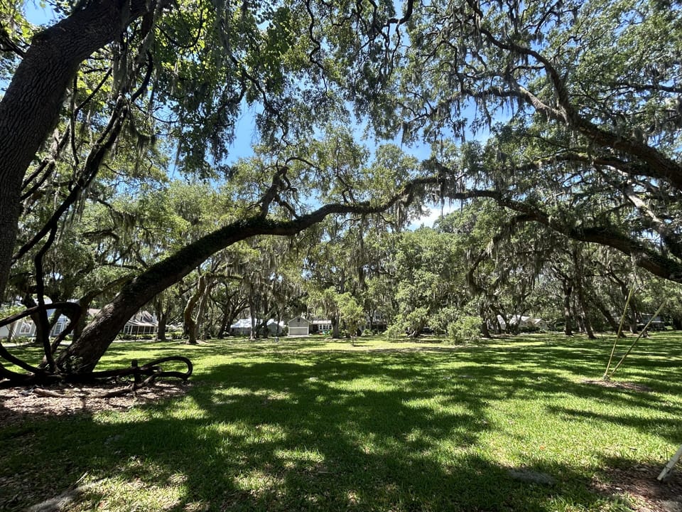 House overlooks 2 full blocks of Saint Simons Park, full of Live Oaks!