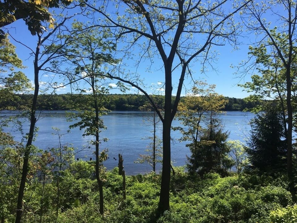 View from deck of Kennebec River
