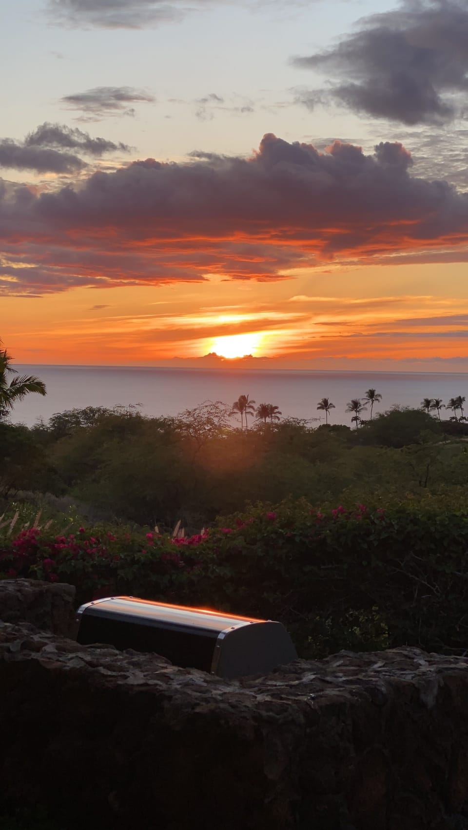 Sunset from the backyard
