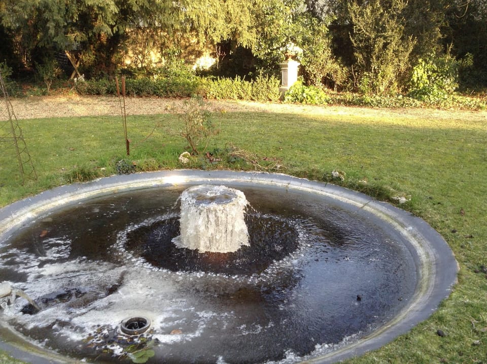 pond in winter with ice