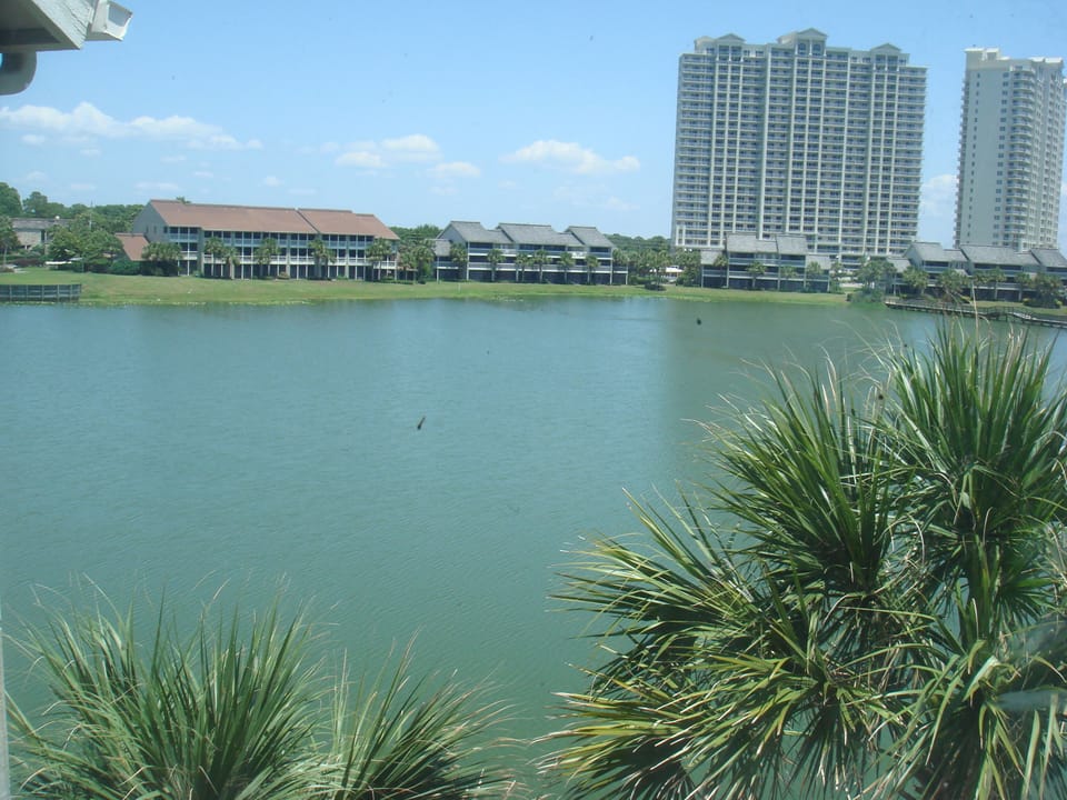  MBR View