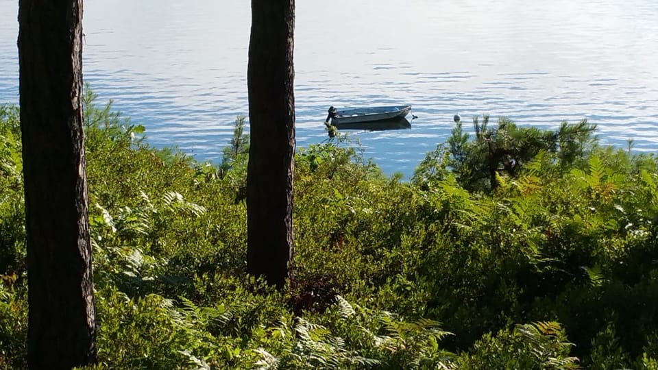 A dinghy at the mooring.