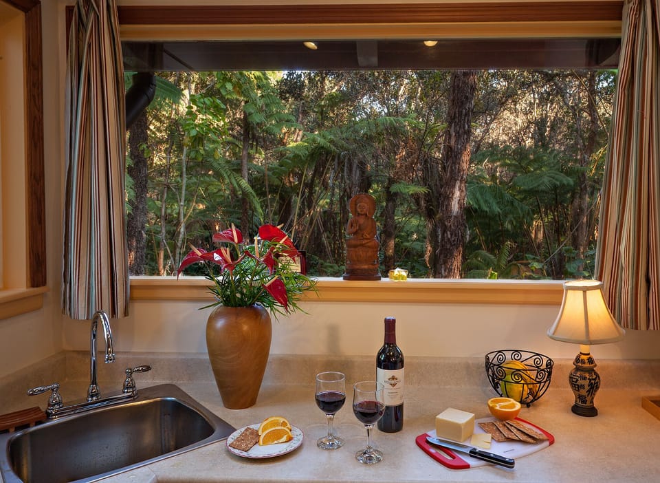 Kitchenette with views of our incredible forest. Charming!