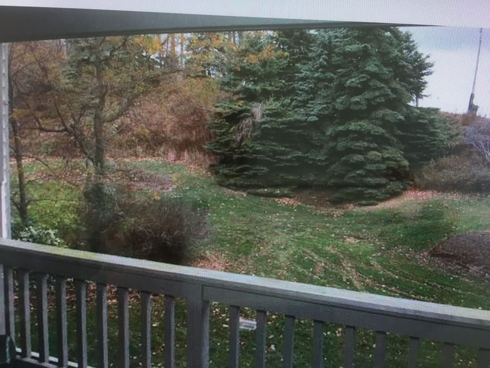 Balcony with view of snow makers on slope