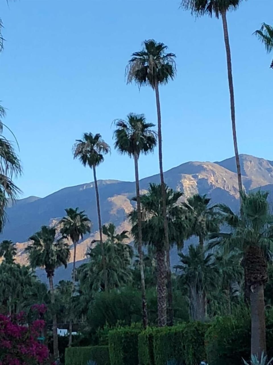 Walkable neighborhood surrounded by mountain views
