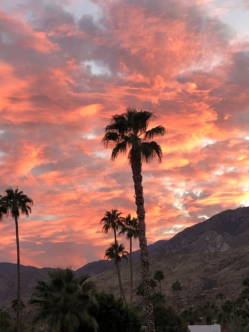 Gorgeous sunsets await you

