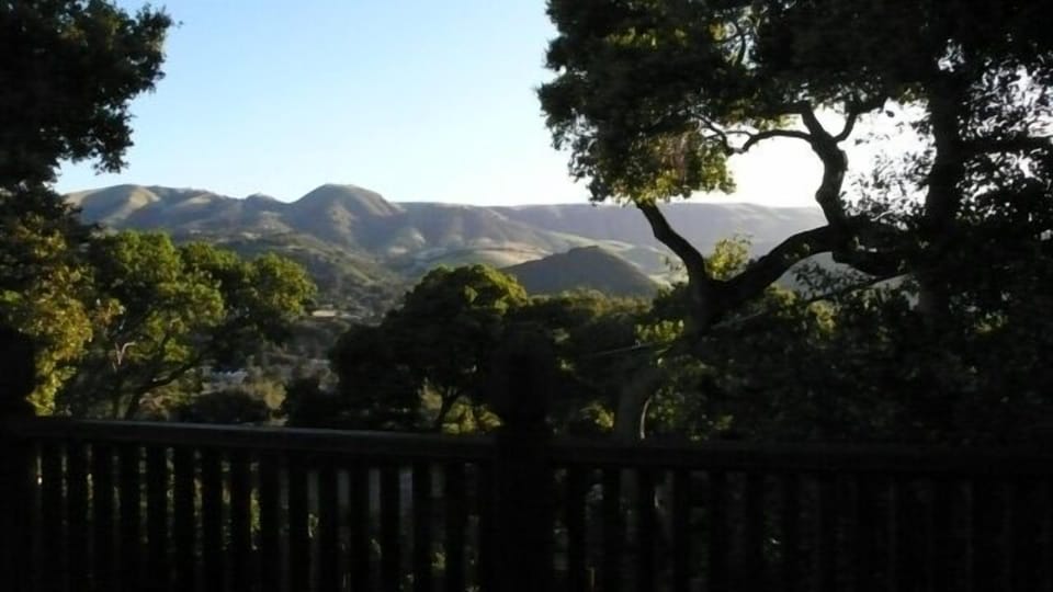 Sunrise, Treehouse deck view.