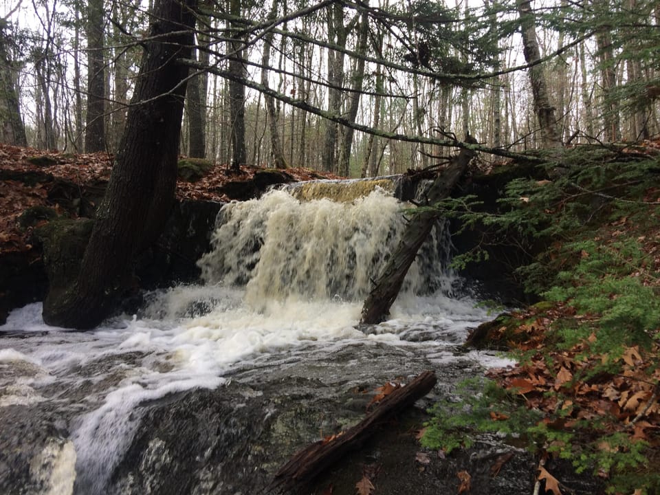 Waterfall behind cottage