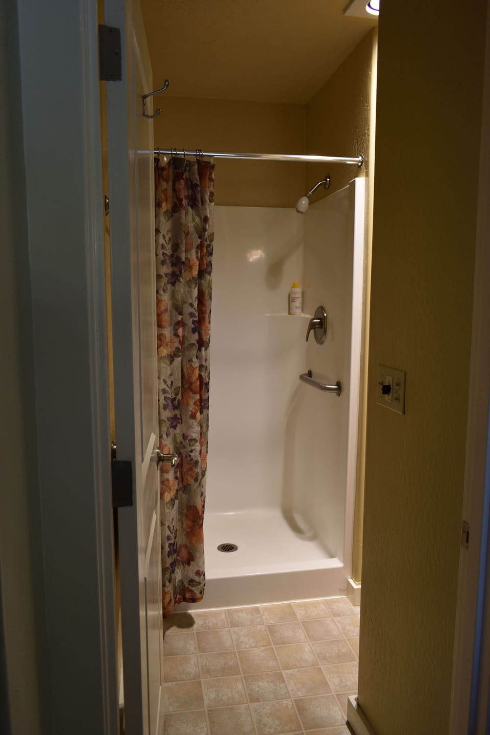 Master bath walk in shower