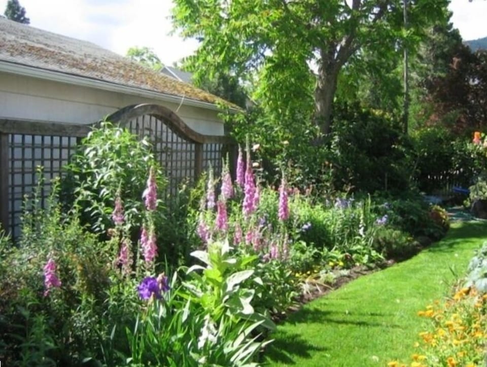 The perennial garden outside the kitchen and living room.