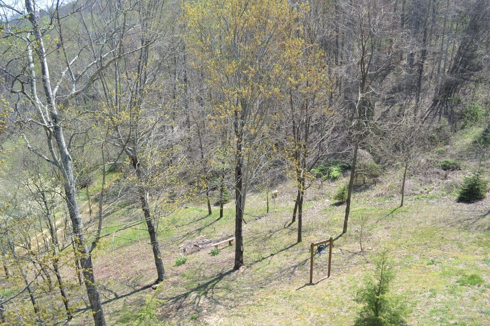 Large Yard